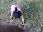 I own a slut PET  COLLAR LEASH WALK