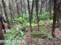 Outdoor sex in the woods in Alaska
