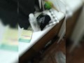 Bent over Bathroom counter ass pounded creampie from tatted Bwc god