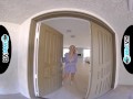 WETVR Hot Real Estate Agent Fucked In VR