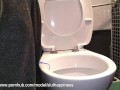 Human toilet slut