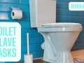 Toilet Slave Tasks - Audio Only!!