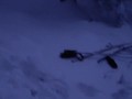 public nude skiing including blow job with a man on ski