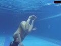 Enjoy Lina Mercury and Mia Ferrari swim naked