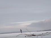 End of the day. Winter walk