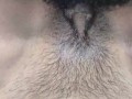 Desi Bhabhi Chut Chudai