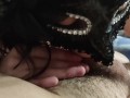 Mia moglie lo mette in bocca per farlo diventare duro. Pompino veloce prima della scopata serale