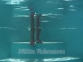 Nikita Vodorezova shows off her sexy body underwater