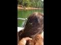 MILF Public Sex on Boat on Lake – cum shot on tattoo