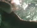 Sexy underwater masturbation with orgasms