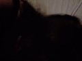 TexasSunshyne public masturbation and Bj at Bliss adult theater!