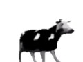 English polish cow dancing (reprised by me)