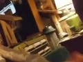 Sunshyne quick suck in thedungeon