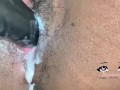 Hairy Creamy Pussy (CLOSE UP)