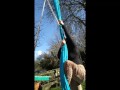 commemoration aerial silks video 1k followers on insta