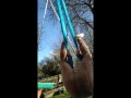 commemoration aerial silks video 1k followers on insta