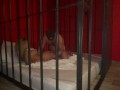 Extreme Porn Slut Monika Fox Gets Fucked Hard In All Holes, Fisted And Footfetish In A Cage
