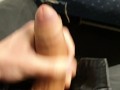 Publicly Jerking it on the Suburban Train in Budapest ( Young, Hung & Horny )