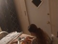 Beautiful white girl smokes in black night gown  with a roommate part 1