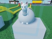 Cat Cum Tank Inflation