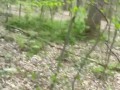 Public fucking in the woods with cum shot on ass