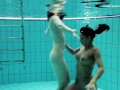 Swimming pool babes lesbos swim and strip