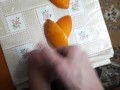 young teacher decided to fuck an orange 🥵