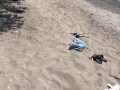 Wife fucks husband and his friend on public beach and gets double creampie / Sloppy seconds