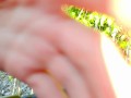 hot sex tourist beautifully masturbates and cums on tree