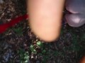 Naked submissive slut taken for a walk on a leash in forest ANAL LEASH but plug