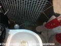 Hard toilet slave training! Toilet PISS Fuck Slut
