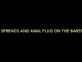 Pussy Spreads and Anal Plug (full on onlyfans wookieprincess )