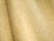 Me cojo a la empleada del hogar mientras los jefes no están, me saca toda la leche