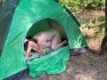 Fucked in 69 position in a tent in the forest - Ikasmoks