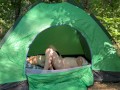 Camping Sex - Lesbian_illusion