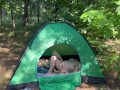 Camping Sex - Lesbian_illusion