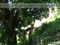 Hot Russian MILF sucked off a stranger in nature and let herself be fucked