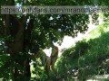 Hot Russian MILF sucked off a stranger in nature and let herself be fucked
