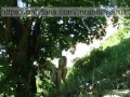 Hot Russian MILF sucked off a stranger in nature and let herself be fucked