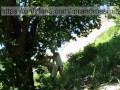 Hot Russian MILF sucked off a stranger in nature and let herself be fucked