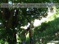 Hot Russian MILF sucked off a stranger in nature and let herself be fucked