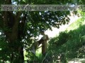 Hot Russian MILF sucked off a stranger in nature and let herself be fucked