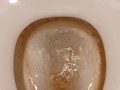 Toilet Pissing
