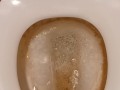 Toilet Pissing