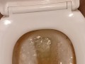 Toilet Pissing