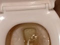 Toilet Pissing
