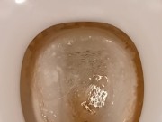 Toilet Pissing