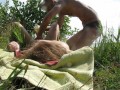Russian MILF gets a multi orgasm from cunnilingus and blowjob with a stranger on a public beach