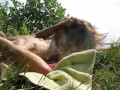 Russian MILF gets a multi orgasm from cunnilingus and blowjob with a stranger on a public beach