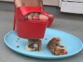 trampling, stomping, crushing, food porn, crush, crushing, heels, high heels, stomp, foot, feet, sol